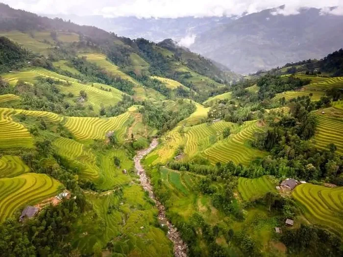 Framed Print : See the stunning scenery of rice terraces during the ripe rice season in Thong Nguyen commune Framed Print : See the stunning scenery of rice terraces during the ripe rice season in Thong Nguyen commune
