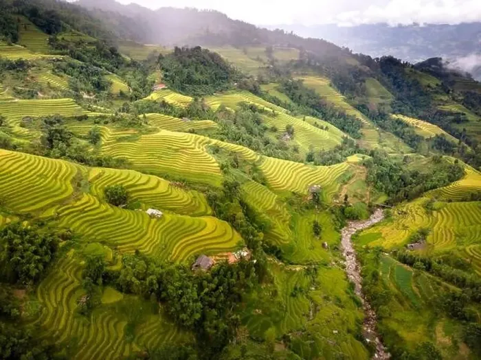 Framed Print : See the stunning scenery of rice terraces during the ripe rice season in Thong Nguyen commune Framed Print : See the stunning scenery of rice terraces during the ripe rice season in Thong Nguyen commune