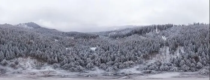 Framed Print : Stunning ski panorama of white snowy cliffs with trees covered in dense fog on a cold winter morning Framed Print : Stunning ski panorama of white snowy cliffs with trees covered in dense fog on a cold winter morning
