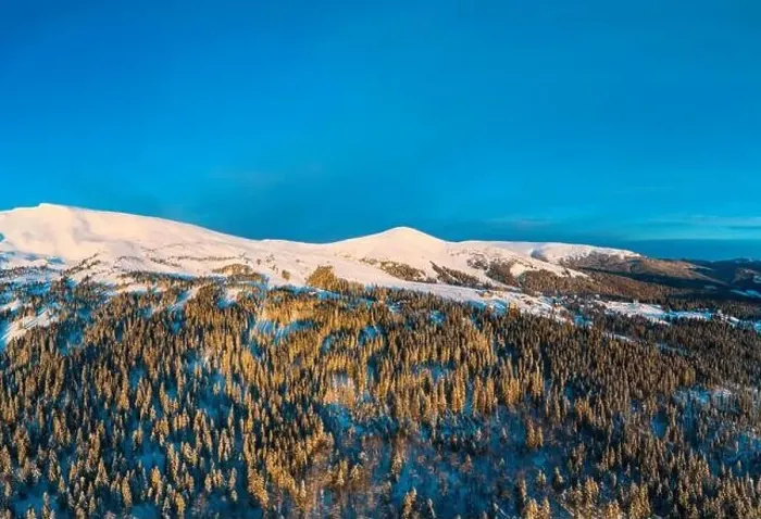 Framed Print : Stunning winter panorama with trees and hills covered with snow on a sunny frosty day Framed Print : Stunning winter panorama with trees and hills covered with snow on a sunny frosty day