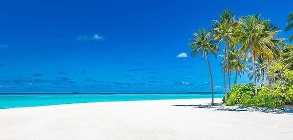 Summer beach banner. Coast, shore with white sand palm trees endless sea view. Tranquil nature, relax view. Tropical idyllic paradise island panorama