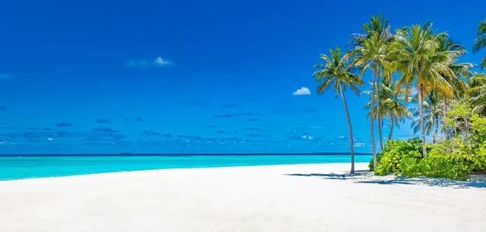 Framed Print : Summer beach banner. Coast, shore with white sand palm trees endless sea view. Tranquil nature, relax view. Tropical idyllic paradise island panorama Framed Print : Summer beach banner. Coast, shore with white sand palm trees endless sea view. Tranquil nature, relax view. Tropical idyllic paradise island panorama