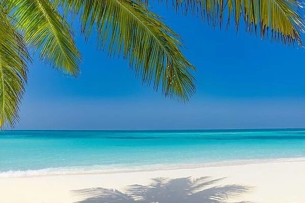 Summer beach landscape. tropical island shore, coast with palm tree leaves. Amazing blue sea horizon, bright sky and white sand as relaxing vacation