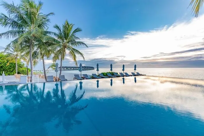 Framed Print : Summer beach swimming pool on sunny day with reflection of palm trees, tropical landscape, exotic island hotel resort concept. Luxury infinity pool Framed Print : Summer beach swimming pool on sunny day with reflection of palm trees, tropical landscape, exotic island hotel resort concept. Luxury infinity pool