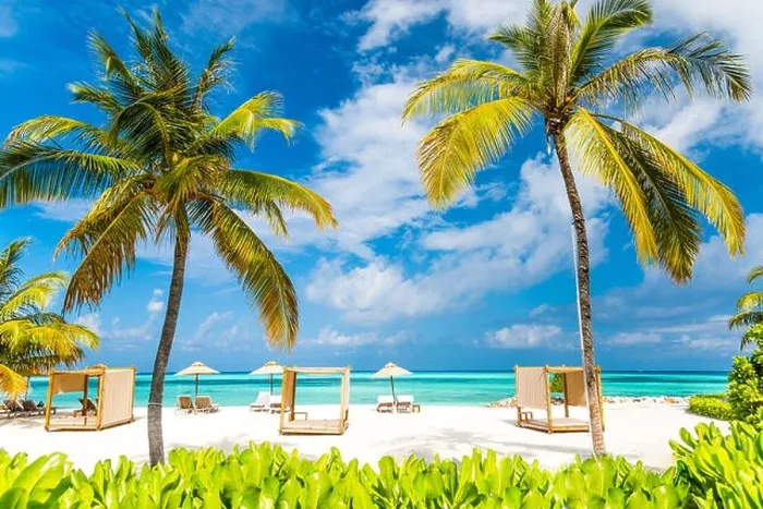 Framed Print : Summer beach tourism vacation holiday travel background concept. Relaxing happiness romantic idyllic family romantic couple wallpaper Framed Print : Summer beach tourism vacation holiday travel background concept. Relaxing happiness romantic idyllic family romantic couple wallpaper