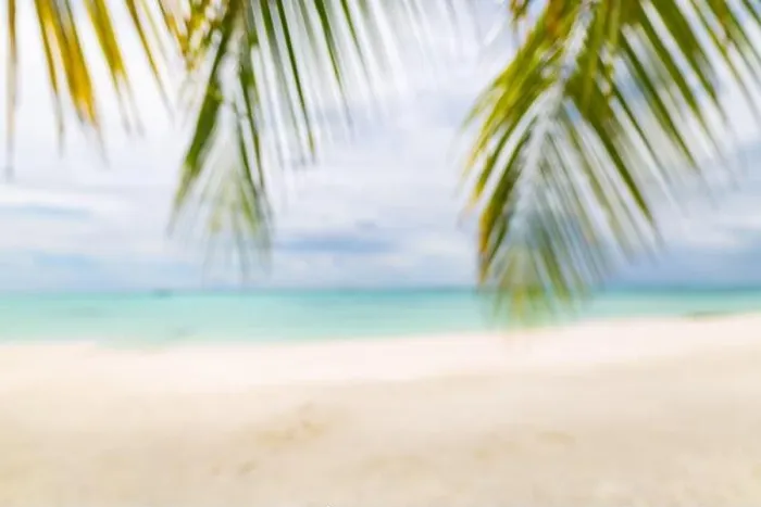 Framed Print : Summer exotic sandy beach with blur palms and sea on background. Dream vacation background with palm leaves and sea view. Summer paradise island beach Framed Print : Summer exotic sandy beach with blur palms and sea on background. Dream vacation background with palm leaves and sea view. Summer paradise island beach