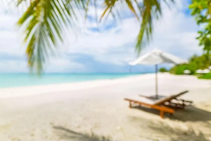 Framed Print : Summer exotic sandy beach with blur palms and sea on background. Dream vacation background with palm leaves and sea view. Summer paradise island beach Framed Print : Summer exotic sandy beach with blur palms and sea on background. Dream vacation background with palm leaves and sea view. Summer paradise island beach