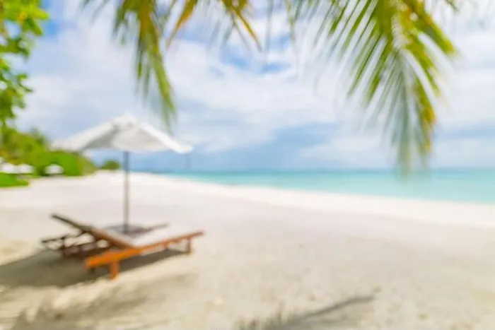 Framed Print : Summer exotic sandy beach with blur palms and sea on background. Dream vacation background with palm leaves and sea view. Summer paradise island beach Framed Print : Summer exotic sandy beach with blur palms and sea on background. Dream vacation background with palm leaves and sea view. Summer paradise island beach