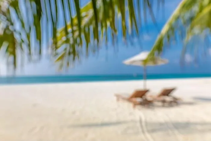 Framed Print : Summer exotic sandy beach with blur palms and sea on background. Blurry beach landscape, chairs and umbrella under palm leaves Framed Print : Summer exotic sandy beach with blur palms and sea on background. Blurry beach landscape, chairs and umbrella under palm leaves