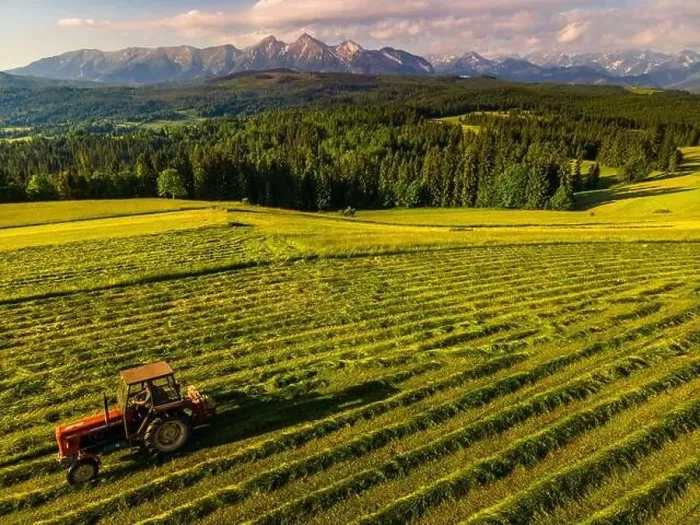 Framed Print : Summer Haymaking in Rural Countrysidde in High Tatras in Poland Framed Print : Summer Haymaking in Rural Countrysidde in High Tatras in Poland