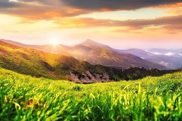 Summer mountain landscape in Carpathians. Green grass and mountains range on background. Incredible sunrise in national nature park