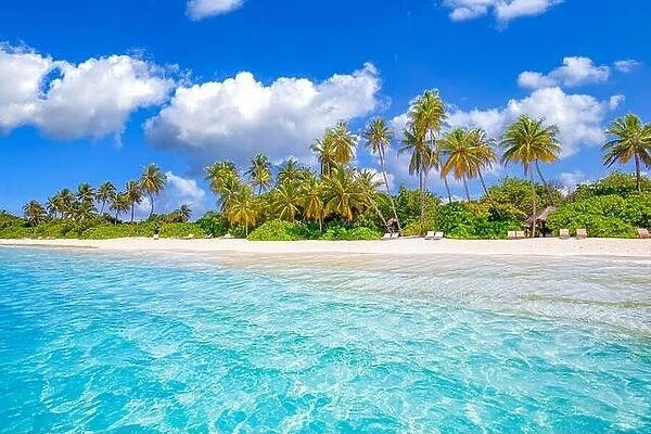 Summer nature landscape. Exotic island panorama, tropical beach coast with palm trees and blue cloudy sky. Natural view from blue seaside lagoon