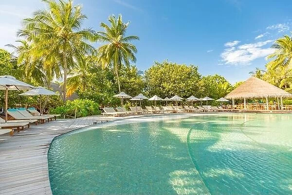 Summer outdoor tourism landscape. Luxurious beach resort with swimming pool and beach chairs or loungers under umbrellas with palm trees and blue sky