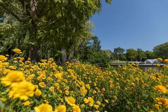 Framed Print : Summer park landscape, flowers trees with water fountain. Beautiful spring flowers near pond Framed Print : Summer park landscape, flowers trees with water fountain. Beautiful spring flowers near pond