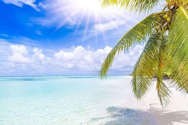 Summer vacation background with tropical beach with rays of sun light and leaf palm. Exotic landscape, dream travel destination