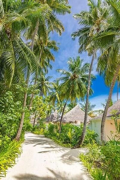 Summer vacation holiday island, vertical view of pathway with palm trees and beach villas bungalows. Luxury travel background tropical nature paradise