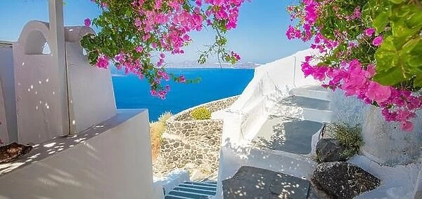 Summer vacation panorama, luxury famous Europe destination. White architecture in Santorini, Greece. Perfect travel scenery with pink flowers