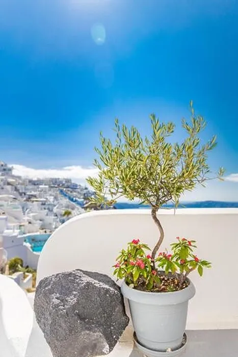 Framed Print : Summer vacation for travel destination flowers background. Wonderful scenery background, perfect holiday. Scenic view of traditional cycladic houses Framed Print : Summer vacation for travel destination flowers background. Wonderful scenery background, perfect holiday. Scenic view of traditional cycladic houses