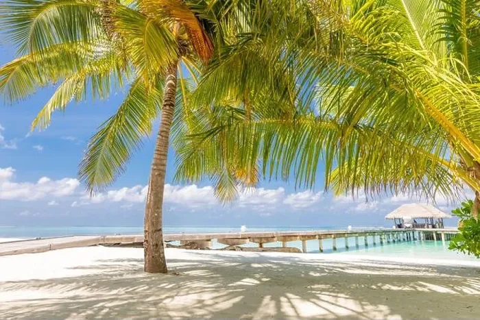 Framed Print : Summer vacation on a tropical island with beautiful beach and palm trees. Luxury travel background, exotic beach landscape, sunny weather, tropics Framed Print : Summer vacation on a tropical island with beautiful beach and palm trees. Luxury travel background, exotic beach landscape, sunny weather, tropics