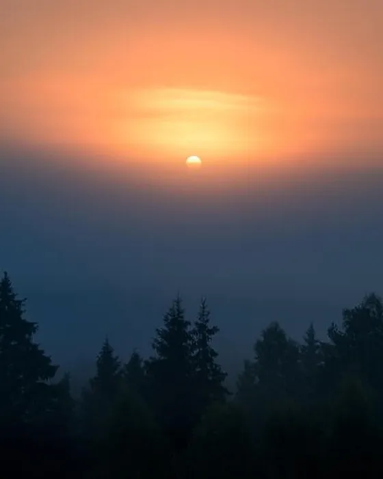 Framed Print : Sun is rising behind fog in Torronsuo national park, Finland Framed Print : Sun is rising behind fog in Torronsuo national park, Finland