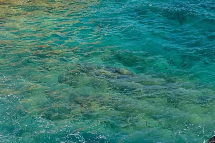 Framed Print : Sunlight dances on the turquoise water, showcasing the lively underwater world filled with colorful sea creatures Framed Print : Sunlight dances on the turquoise water, showcasing the lively underwater world filled with colorful sea creatures