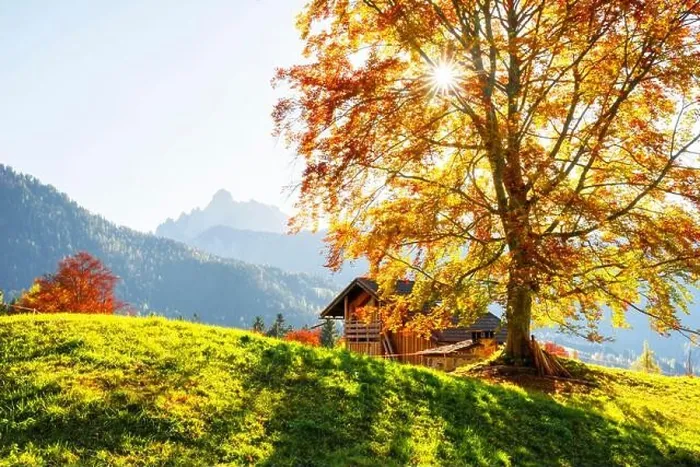 Framed Print : Sunny autumn landscape of italian countryside with orange tree and wooden cabin. Dolomite Alps