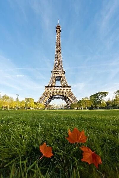 Sunny morning in Paris and Eiffel Tower with maple leaf at Paris, France