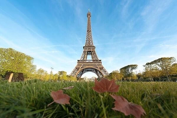 Sunny morning in Paris and Eiffel Tower with maple leaf at Paris, France