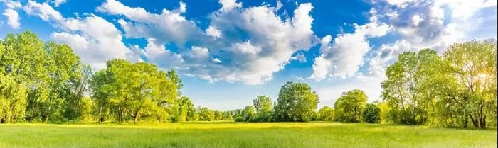 Framed Print : Sunny spring summer landscape, green forest trees, meadow flowers field panoramic vibrant rural nature with cloudy blue sky. Idyllic nature scenic Framed Print : Sunny spring summer landscape, green forest trees, meadow flowers field panoramic vibrant rural nature with cloudy blue sky. Idyllic nature scenic