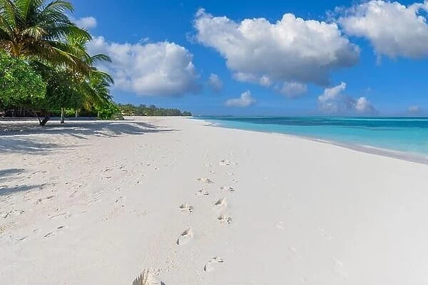 Sunny tropical beach with foot steps in white sand and palm trees on Maldives. Footprints on exotic beach landscape, tropical island shore, calm sea