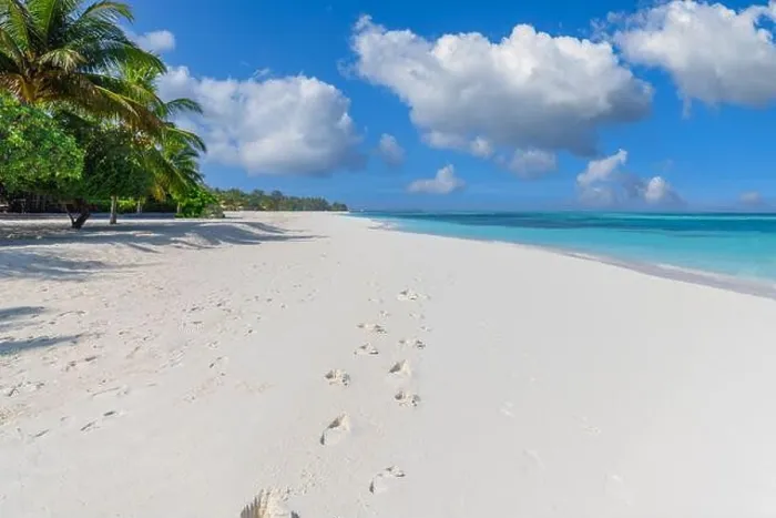 Framed Print : Sunny tropical beach with foot steps in white sand and palm trees on Maldives. Footprints on exotic beach landscape, tropical island shore, calm sea Framed Print : Sunny tropical beach with foot steps in white sand and palm trees on Maldives. Footprints on exotic beach landscape, tropical island shore, calm sea