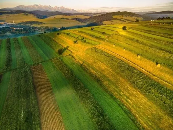 Framed Print : Sunrise over Meadows and Fields at Pieniny Park in Poland Framed Print : Sunrise over Meadows and Fields at Pieniny Park in Poland