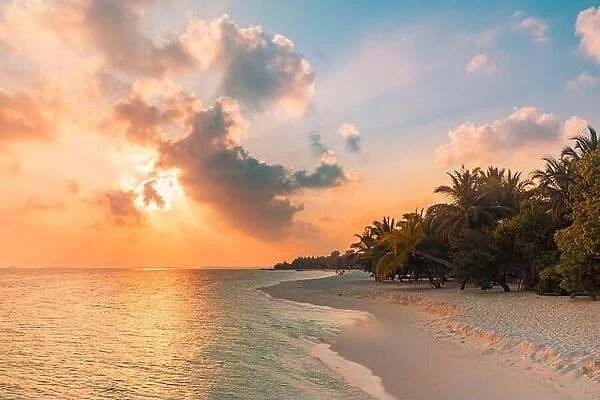 Sunset on the beach. Paradise landscape beach. Tropical paradise, white sand, beach, palm trees and clear water under sun rays with idyllic summer