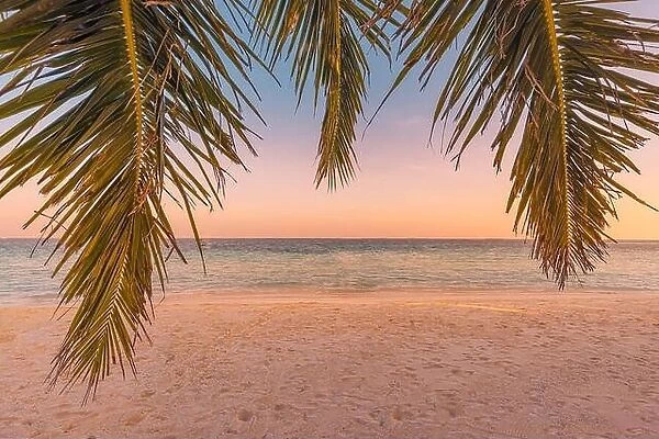 Sunset on the beach sea sky scenic with palm tree leaves. Fantastic summer mood, relaxing nature coast, shore horizon. Seaside view, tropical island