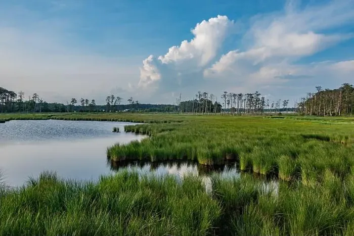 Framed Print : Sunset at Blackwater National Wildlife Refuge, Maryland USA