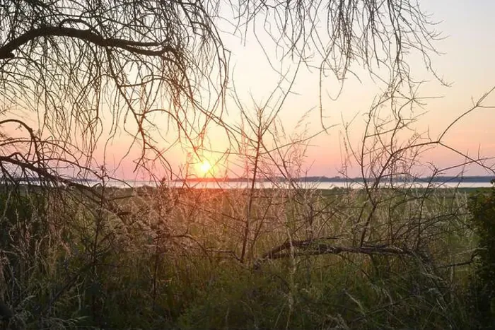 Framed Print : Sunset over the Salzhaff at the german baltic sea coast near Poel Island, natural bushes and grass Framed Print : Sunset over the Salzhaff at the german baltic sea coast near Poel Island, natural bushes and grass
