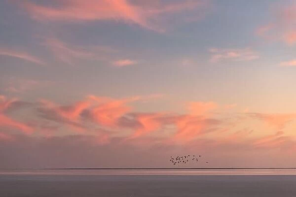 Sunset on the sea with red glowing cloudy sky and flock of birds. Ocean sunrise background. Landscape photography