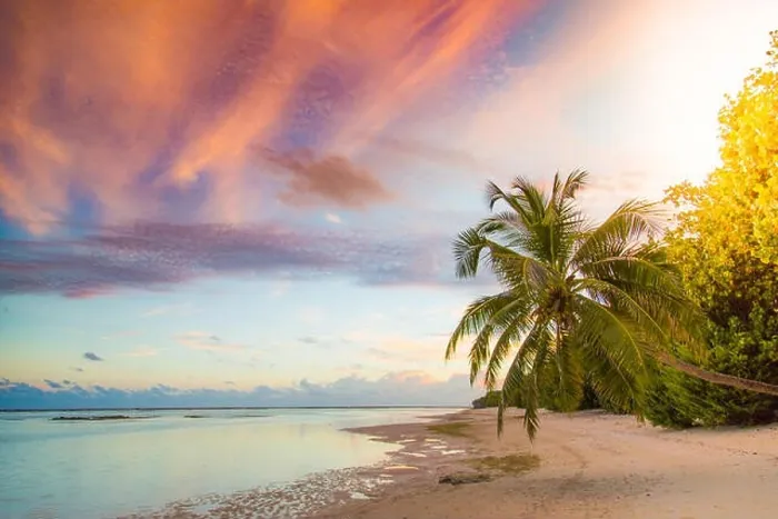 Framed Print : Sunset sunrise beach landscape. Amazing colors sky and calm sea water with palm trees over tranquil beach Framed Print : Sunset sunrise beach landscape. Amazing colors sky and calm sea water with palm trees over tranquil beach