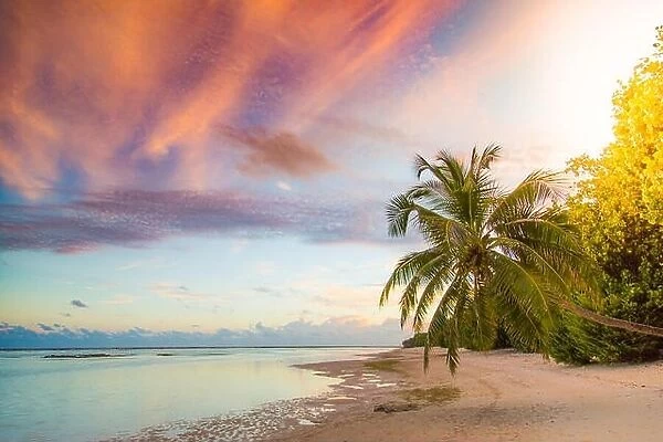 Sunset sunrise beach landscape. Amazing colors sky and calm sea water with palm trees over tranquil beach