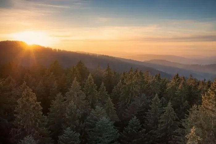 Framed Print : Sunset over switzerland with pine forest Framed Print : Sunset over switzerland with pine forest