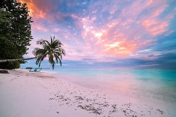 Sunset and tropical beach, palm tree near the sea, colorful twilight sky