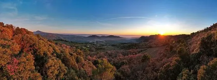Framed Print : Sunset view of les Dentelles de Montmirail Framed Print : Sunset view of les Dentelles de Montmirail