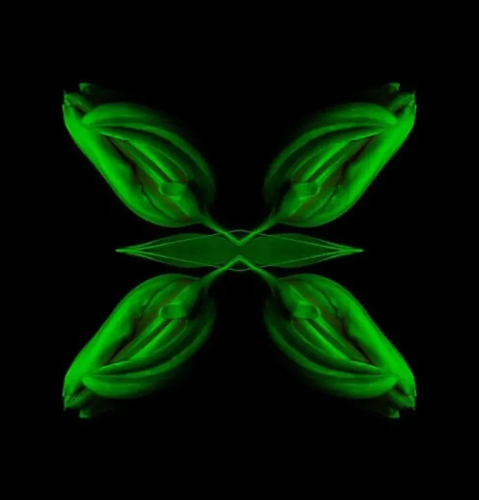 Framed Print : Surrealistic symmetrical geometrical low key neon colored pattern made with a macro of an isolated yellow green closed Framed Print : Surrealistic symmetrical geometrical low key neon colored pattern made with a macro of an isolated yellow green closed