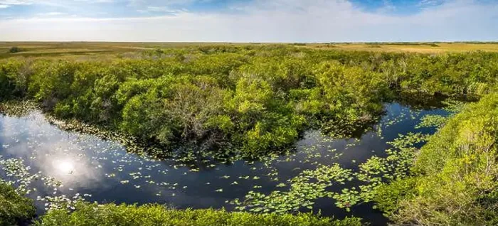 Framed Print : The Swamp land at Everglades National Park, Florida, United States Framed Print : The Swamp land at Everglades National Park, Florida, United States