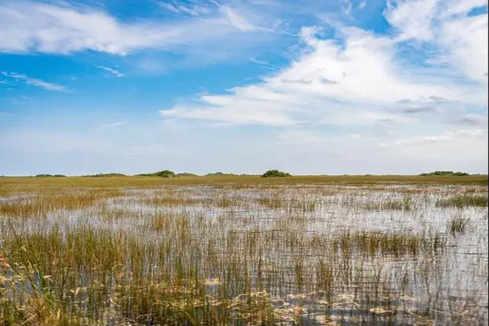 Framed Print : The Swamp land at Everglades National Park, Florida, United States Framed Print : The Swamp land at Everglades National Park, Florida, United States
