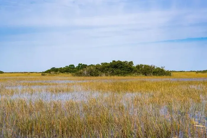 Framed Print : The Swamp land at Everglades National Park, Florida, United States Framed Print : The Swamp land at Everglades National Park, Florida, United States