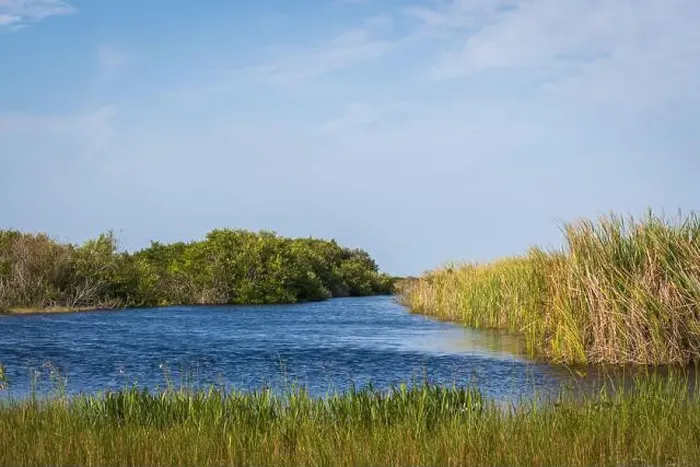 Framed Print : The Swamp land at Everglades National Park, Florida, United States Framed Print : The Swamp land at Everglades National Park, Florida, United States
