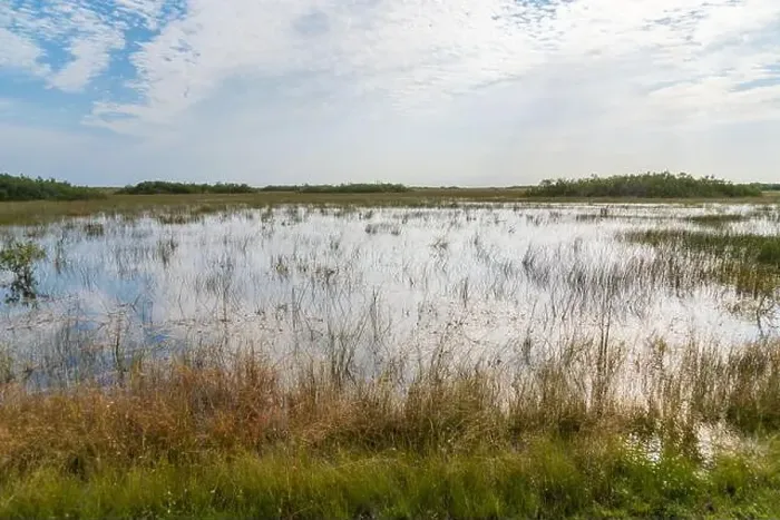 Framed Print : The Swamp land at Everglades National Park, Florida, United States Framed Print : The Swamp land at Everglades National Park, Florida, United States