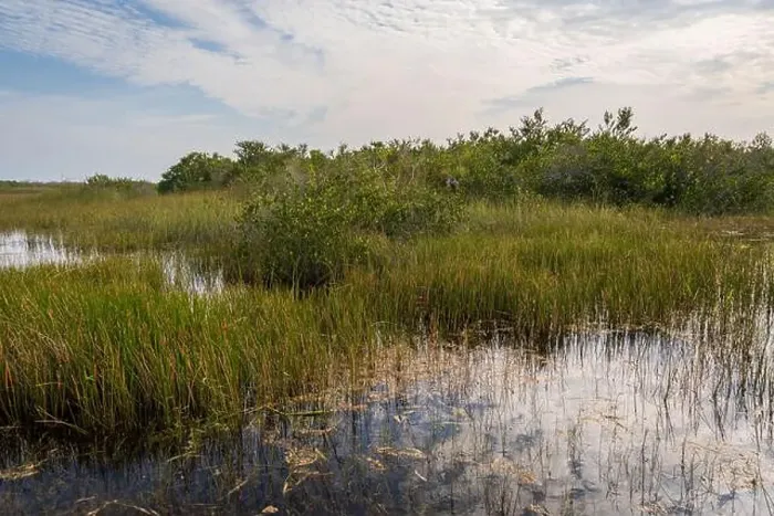 Framed Print : The Swamp land at Everglades National Park, Florida, United States Framed Print : The Swamp land at Everglades National Park, Florida, United States