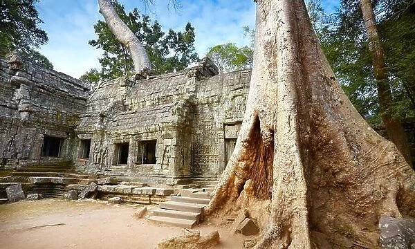 Ta Prohm Temple, Angkor, Cambodia, Asia